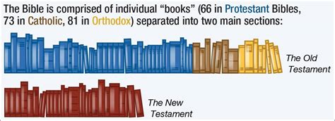 how many extra books are in the catholic bible what is the difference between the catholic and protestant versions of the bible?